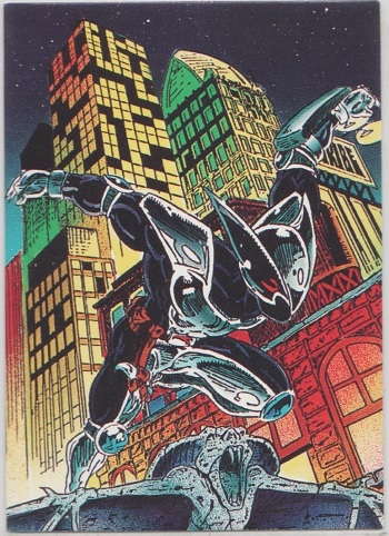 ShadowHawk Collector Card #45